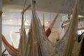 In Tokyo, opened a cafe with hammocks