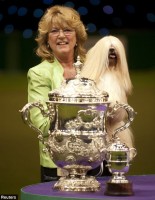 In England, a winner of the world's most prestigious dog show