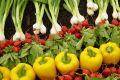 Raw food and vegetarian recognized disease