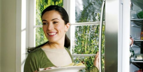 How to revive a favorite refrigerator?