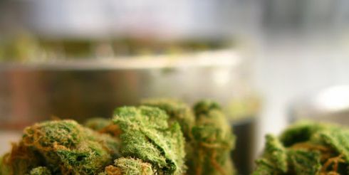 Marijuana is good for the lungs?