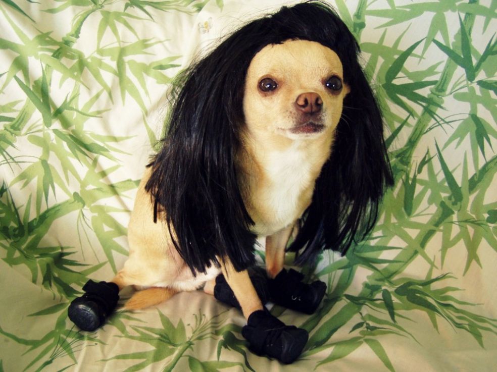 ��������