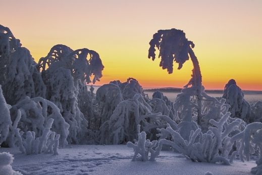 Зима