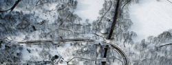 &ldquo;Настоящая&rdquo; американская зима (фото)