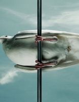 Картинки 22 апреля