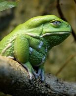 Картинки 23 апреля