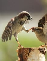 28 апреля: это интересно знать