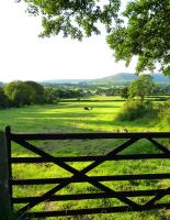 9 июля, это интересно знать