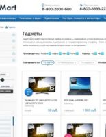 Установлен рекорд по скорости запуска интернет магазина с нуля