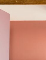 Dulux и Британский институт цвета представляют цвет 2015 года: медно-оранжевый