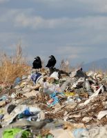 Спустя полгода с момента своего принятия фз № 458 продолжает бездействовать