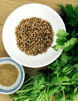 Кинза для пьяниц