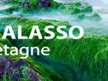 THALASSO BRETAGNE разработала серию комплексных программ для здоровья и красоты ног
