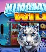 Himalayan Wild: Покорите вершины удачи в новом шедевре от Pragmatic Play