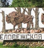 Фотовыставка к 600-летию Беловежской пущи пройдет в Госдуме России