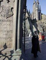 Тематический парк — Волшебный Мир Гарри Поттера