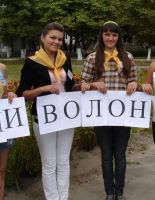 Волонтеры в законе