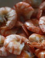 Морская кухня Крыма