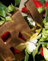 В России отмечается День интернета