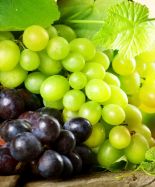 Интересные факты о винограде