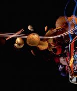 Виски Chivas Royal и Chivas 18
