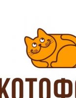 Онлайн-шоппинг от КотоФото в праздники
