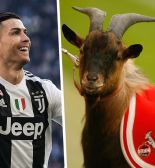 10 лучших футболистов всех времен: кто из них может претендовать на звание GOAT?