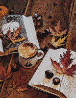 Сезонные подборки: какие книги читать осенью, зимой, весной и летом