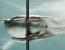 Картинки 22 апреля