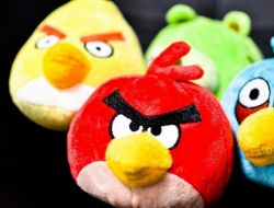 Angry birds: феномен среди популярных приложений