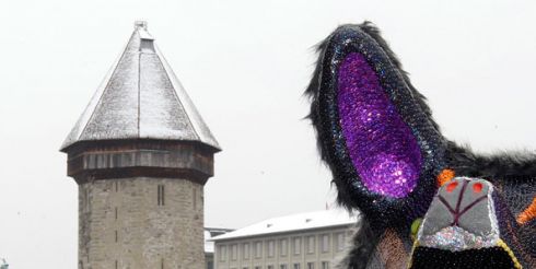 День в фотографии: 11 февраля 2010