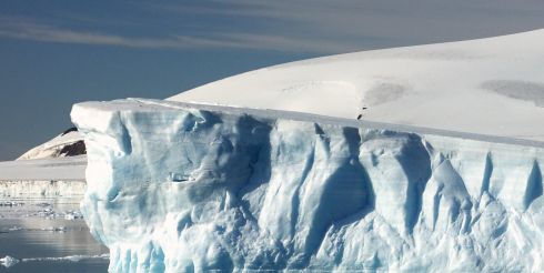 Глобальное потепление стало глобальной научной фальсификацией
