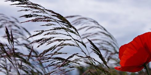 11 сентября: это интересно знать