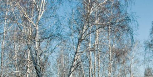 9 декабря: это интересно знать