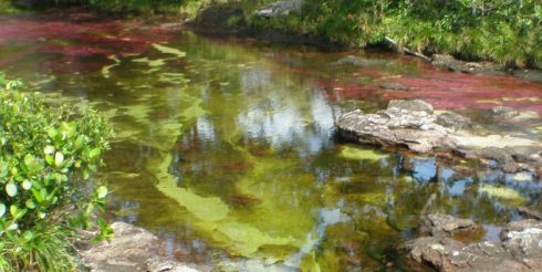 Необычные источники воды