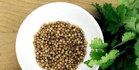 Кинза для пьяниц