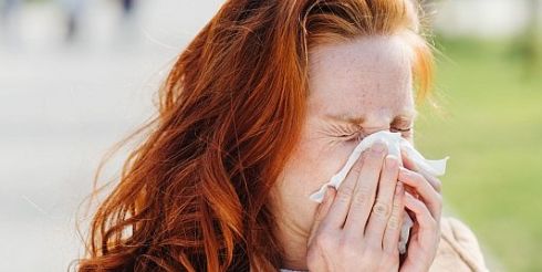 Изменение климата может ухудшить положение людей с сенной лихорадкой в ​​Европе