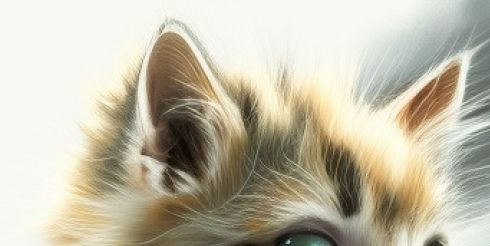 Коты — настоящие эксперты в обеспечении комфорта