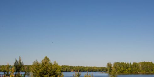 От стресса к гармонии: зачем современному человеку отдых на природе 