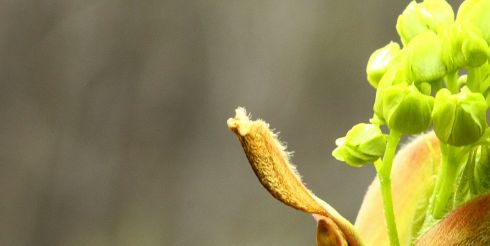 10 мая: это интересно знать
