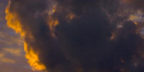 Сорок процентов людей умирают от загрязнения окружающей среды