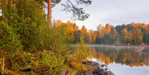 Страна между трёх морей