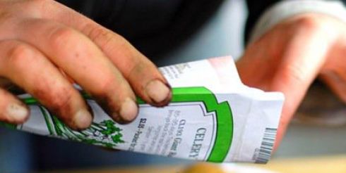 Как купить семена, чтобы урожай радовал