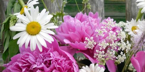 Садовое счастье