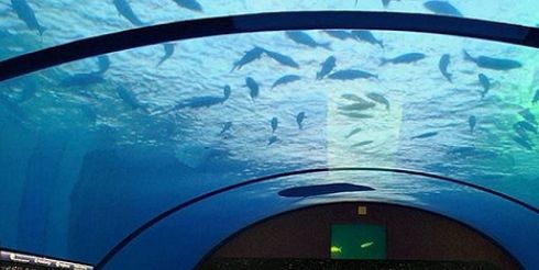 В Дубае построят первый в мире теннисный корт под водой