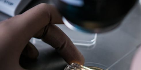 Лечение бесплодия у женщин в Киеве от экспертов Института Генетики Репродукции