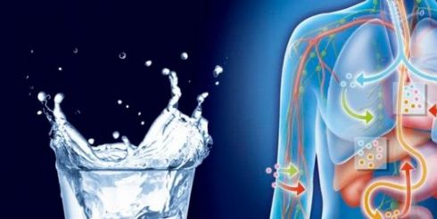 Роль воды в борьбе с кислотным обменом в организме