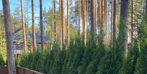 Уличный ящик для растений на дачу своими руками: рекомендации по сборке и общие советы