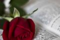 Девушкам на заметку, или как помогают красивые фразы и афоризмы о любви