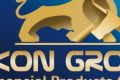 Мировой лидер интернет-трейдинга IKON Group пришел в Россию